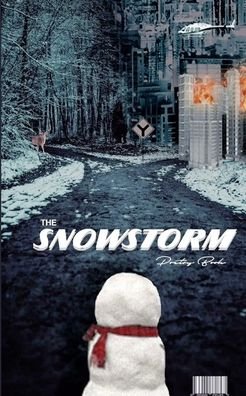 Cover for Jason Eskimo Snow · The SnowStorm (Taschenbuch) (2019)