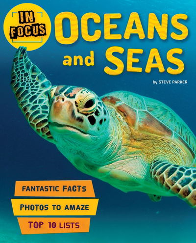 Cover for Kingfisher · In Focus: Oceans and Seas - In Focus (Paperback Book) [Main Market Ed. - UK edition] (2017)