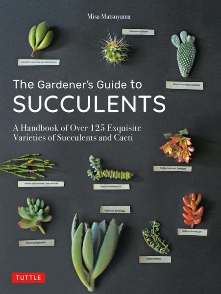 Cover for Misa Matsuyama · The Gardener's Guide to Succulents: A Handbook of Over 125 Exquisite Varieties of Succulents and Cacti (Hardcover Book) (2020)