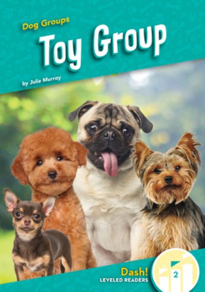 Toy Group - Julie Murray - Books - ABDO Publishing Company - 9781098284060 - December 15, 2023