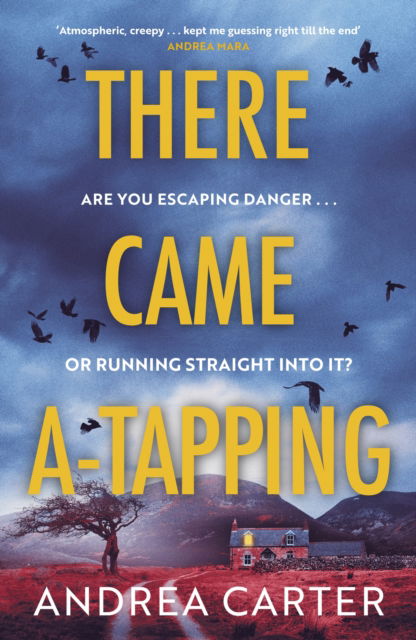 Cover for Andrea Carter · There Came A-Tapping: A gripping thriller that will keep you up all night (Pocketbok) (2025)