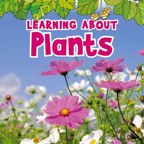 Cover for Catherine Veitch · Learning About Plants (The Natural World) (Taschenbuch) (2013)