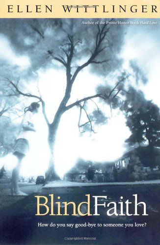 Cover for Ellen Wittlinger · Blind Faith (Paperback Book) (2007)