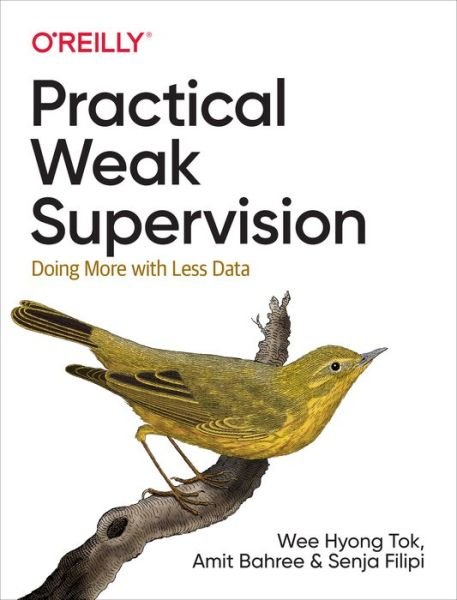 Cover for Wee Hyong Tok · Practical Weak Supervision: Doing More with Less Data (Paperback Book) (2021)