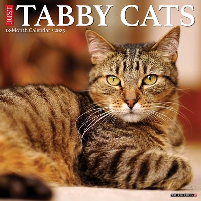 Willow Creek Press · Just Tabby Cats 2025 12 X 12 Wall Calendar (Kalender) (2024)