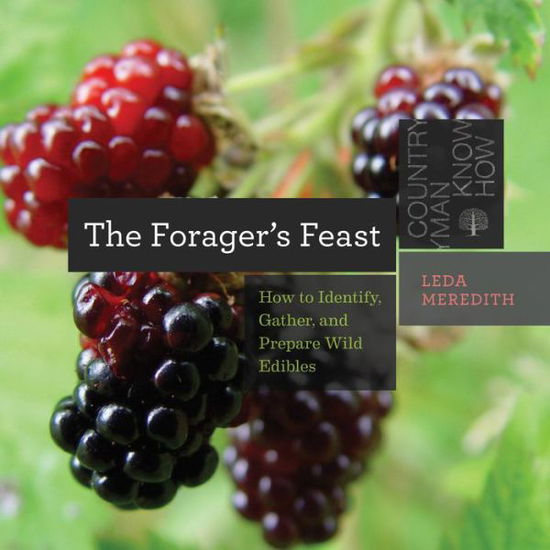 Cover for Leda Meredith · The Forager's Feast: How to Identify, Gather, and Prepare Wild Edibles - Countryman Know How (Paperback Book) (2016)