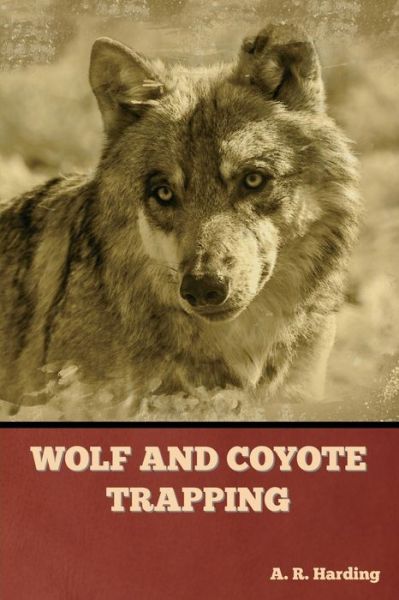 Cover for A R Harding · Wolf and Coyote Trapping (Paperback Book) (2022)