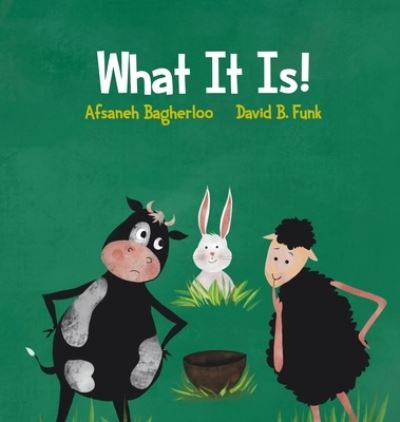 What It Is! - David B Funk - Livros - Booklocker.com - 9781647185060 - 27 de maio de 2020