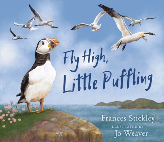 Cover for Frances Stickley · Fly High, Little Puffling (Paperback Book) (2025)