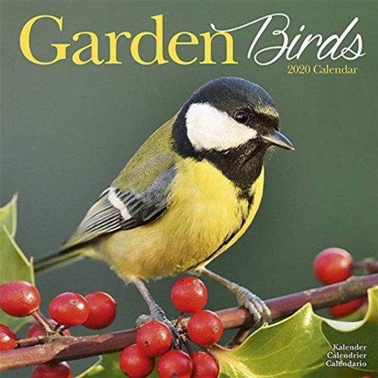 Cover for Avonside Publishing Ltd · Garden Birds Calendar 2020 (Pocketbok) (2019)