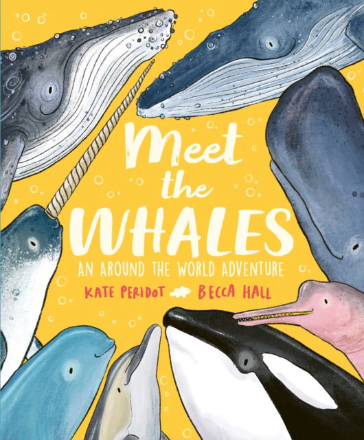 Cover for Kate Peridot · Meet the Whales - Meet The… (Hardcover Book) (2025)