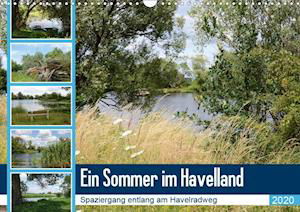 Cover for Frost · Ein Sommer im Havelland - Spazier (Bog)