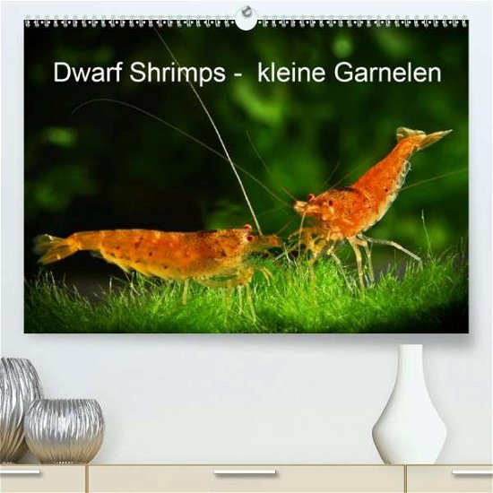 Cover for Pohlmann · Dwarf Shrimps - kleine Garnele (Bog)