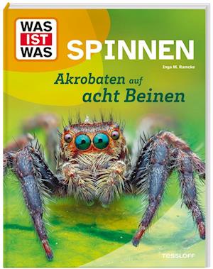 Cover for Inga Marie Ramcke · WAS IST WAS Spinnen. Akrobaten auf acht Beinen (Book) (2024)