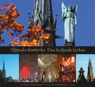 Cover for Martin Lönnebo · Uppsala domkyrka : den bedjande kyrkan (Innbunden bok) (2017)