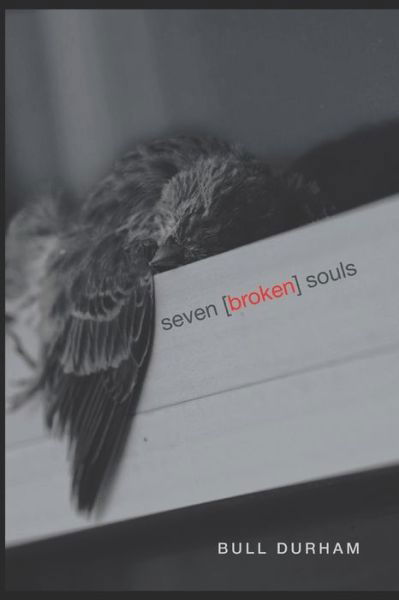 Cover for Bull Durham · Seven Broken Souls (Paperback Book) (2020)