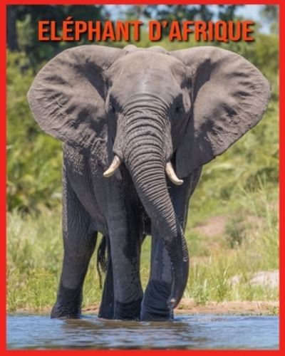 Cover for Linda Davis · Elephant d'Afrique (Paperback Book) (2021)