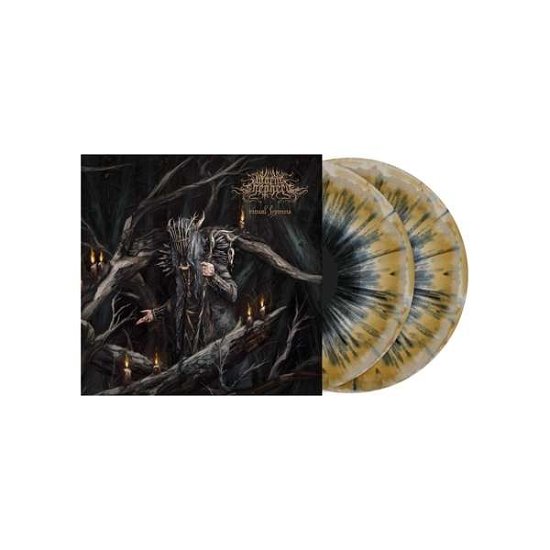 Worm Shepherd · Ritual Hymns (LP) [Limited edition] (2022)