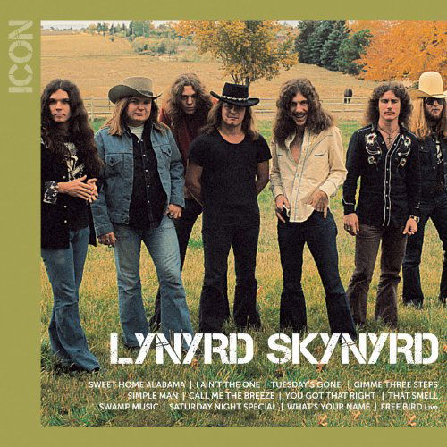 Icon - Lynyrd Skynyrd - Muziek - GEFFEN - 0602527438061 - 30 augustus 2010