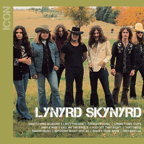 Cover for Lynyrd Skynyrd · Icon (CD) (2010)