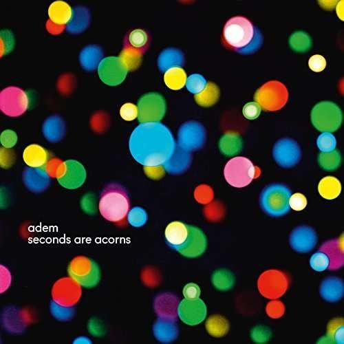Cover for Adem · Seconds Are Acorns (LP) (2015)