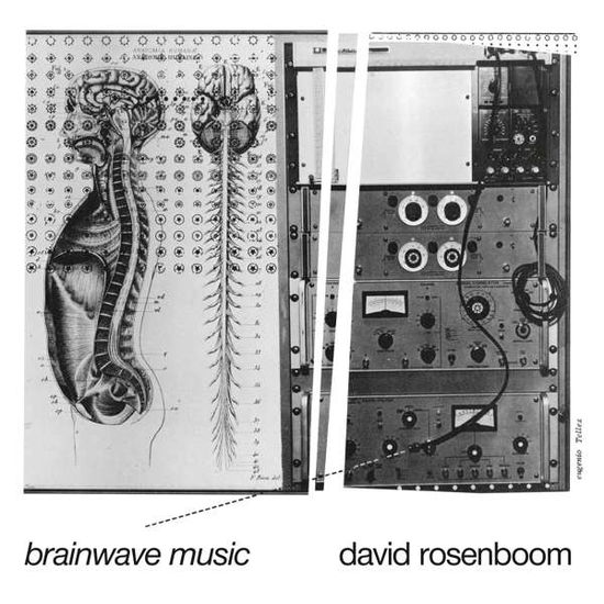 Cover for David Rosenboom · Brainwave Music (LP) (2019)