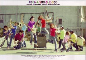 Cover for Music · Voo Doo Hawaiians (MDVD) [Japan Import edition] (2003)