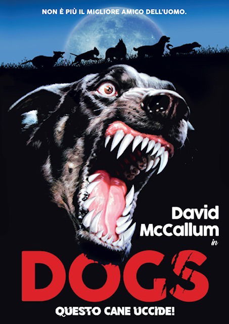 Cover for Dogs · Questo Cane Uccide! (Dvd+Poster) (DVD) (2021)