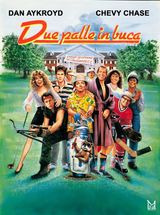 Cover for Due Palle in Buca (DVD) (2022)