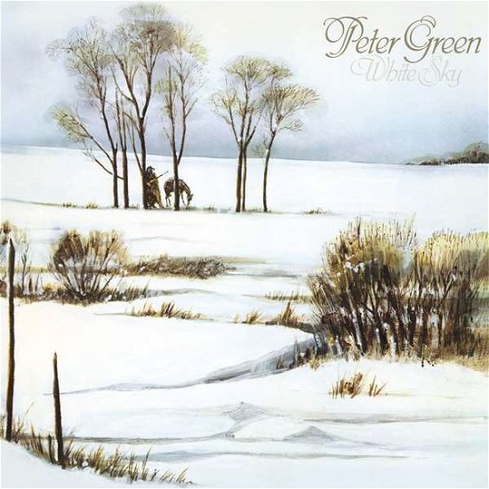 Cover for LP · Peter Green-white Sky (LP) (2020)