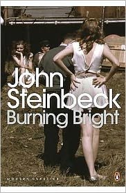 Cover for Mr John Steinbeck · Burning Bright: A Play in Story Form - Penguin Modern Classics (Paperback Book) (2001)