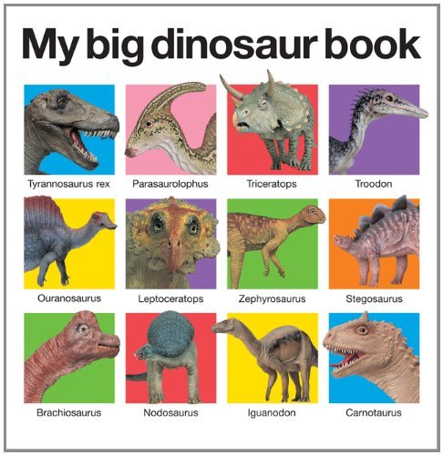 My Big Dinosaur Book - My Big Board Books - Roger Priddy - Books - St. Martin's Publishing Group - 9780312513061 - May 10, 2011