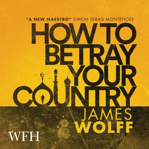 Cover for James Wolff · How to Betray Your Country (Audiobook (CD)) [Unabridged edition] (2021)