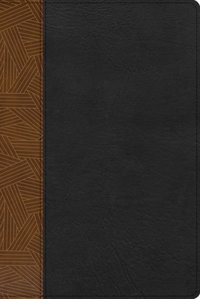 Cover for B&amp;H Español Editorial Staff · RVR 1960 Biblia de Estudio Arcoiris, Tostado / negro Símil Piel (Bog) (2022)