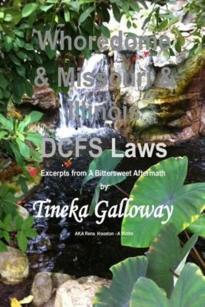 Cover for Tineka Galloway · Whoredome &amp; Missouri &amp; Illinois DCFS Laws (Paperback Bog) (2014)
