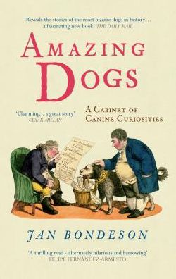 Amazing Dogs: A Cabinet of Canine Curiosities - Jan Bondeson - Książki - Amberley Publishing - 9781445607061 - 15 czerwca 2013