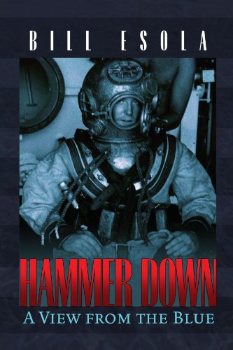 Cover for Bill Esola · Hammer Down: a View from the Blue (Paperback Bog) (2010)