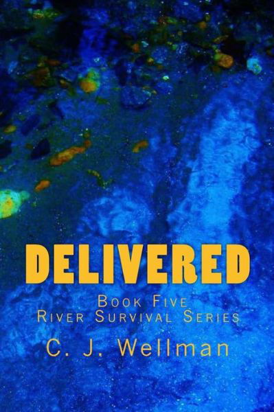 Cover for C J Wellman · Delivered (Paperback Book) (2014)