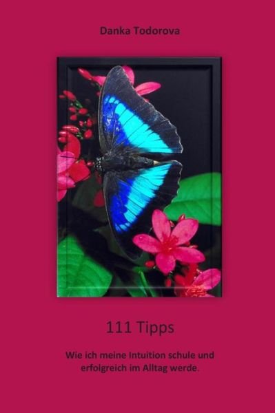 Cover for Danka Todorova · 111 Tipps (Paperback Book) (2014)