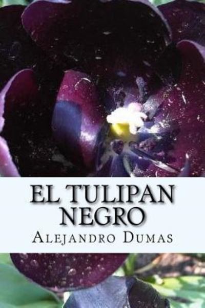 Cover for Alejandro Dumas · El Tulipan Negro (Paperback Book) (2016)