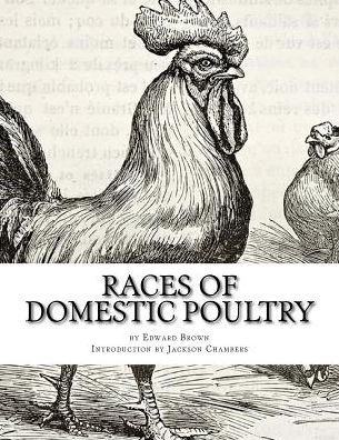 Cover for Edward Brown · Races of Domestic Poultry (Paperback Book) (2017)