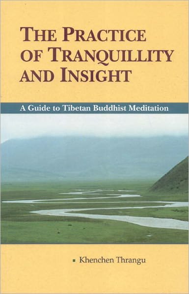 Cover for Khenchen Thrangu · The Practice of Tranquillity and Insight: A Guide to Tibetan Buddhist Meditation (Paperback Bog) [2 Revised edition] (1998)