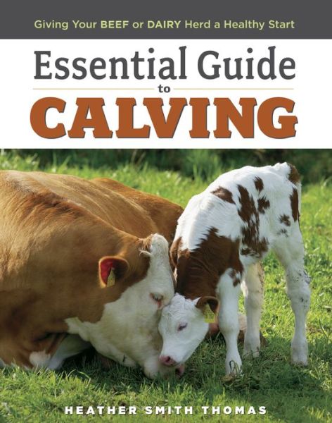 Essential Guide to Calving: Giving Your Beef or Dairy Herd a Healthy Start - Heather Smith Thomas - Books - Workman Publishing - 9781580177061 - January 30, 2008