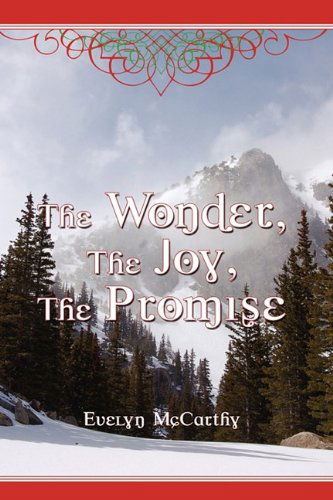 Cover for Evelyn Mccarthy · The Wonder, the Joy, the Promise Stories for Christmas (Hardcover Book) (2009)