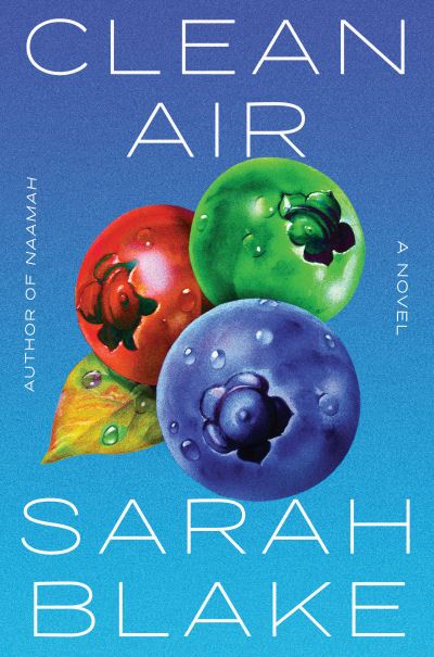 Cover for Sarah Blake · Clean Air (Hardcover Book) (2022)