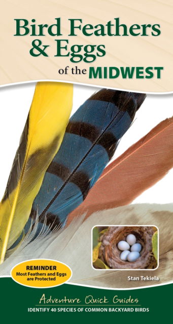 Cover for Stan Tekiela · Bird Feathers &amp; Eggs of the Midwest: Identify 40 Species of Common Backyard Birds (Spiral Book) (2025)