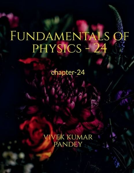 Cover for Vivek Kumar · Fundamentals of Physics - 24 (Bok) (2020)