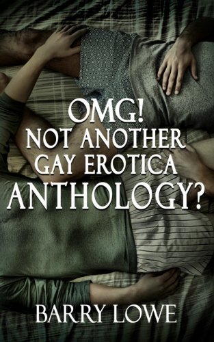 Cover for Barry Lowe · Omg! Not Another Gay Erotica Anthology? (Paperback Bog) (2013)