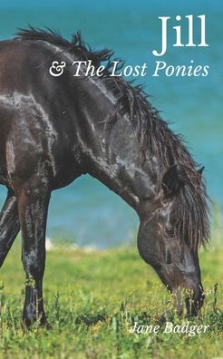 Cover for Jane Badger · Jill and the Lost Ponies (Paperback Book) (2020)