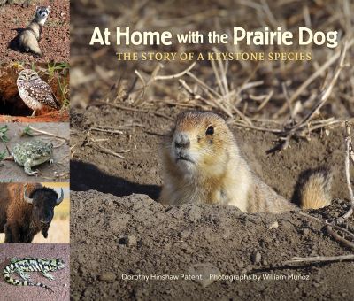 Cover for Dorothy Hinshaw Patent · At Home with the Prairie Dog: The Story of a Keystone Species (Hardcover Book) (2023)